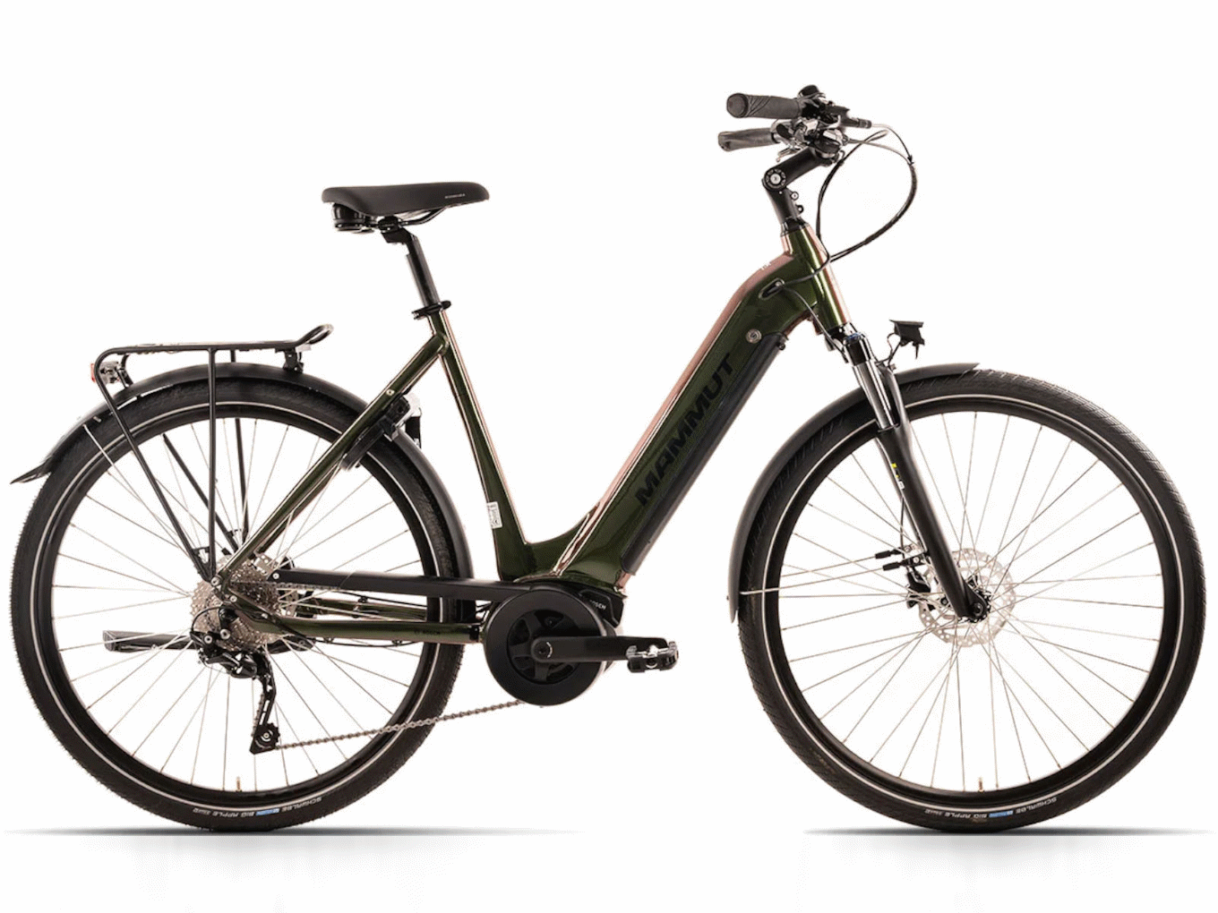 Grünes Damen Mammut E-Bike mit Gepäckträger, Scheibenbremsen und dicken Reifen